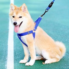 Dog Harness Heavy Duty Nylon