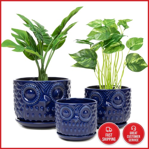 Charming owl ceramic planters - charming,
