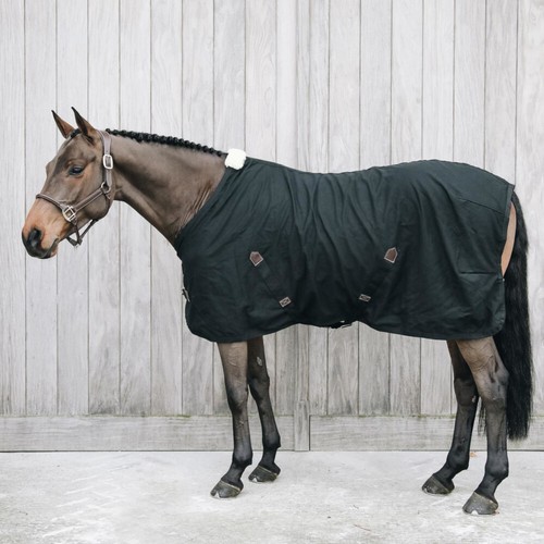 Kentucky horsewear cotton - kentucky,
