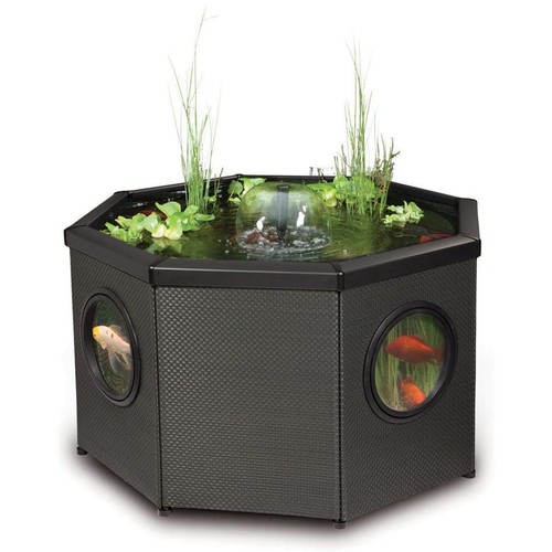 Blagdon affinity pond - pond, mocha