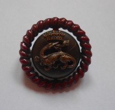 town crest Dragon with crown