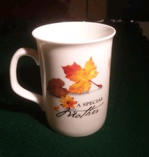 History & Heraldry Mug Fine Bone China Mug A Special Mother 