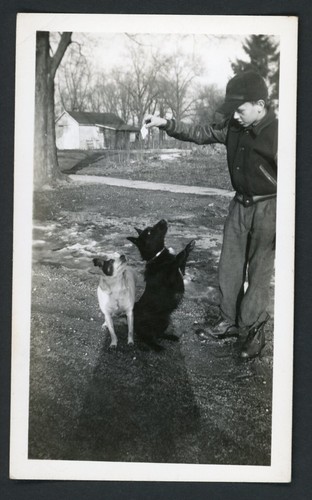 Boy plays with - plays, dog
