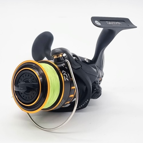 Daiwa bg2500 spinning - daiwa,