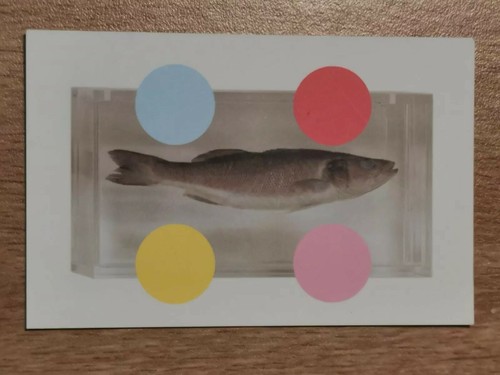 Damien hirst spot design card - hirst,
