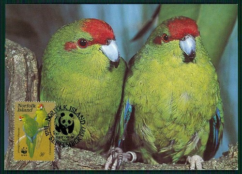 Norfolk islands wwf - mk,
