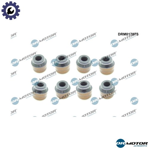 Seal ring valve - valve, drm01707s
