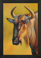 Portrait of a wildebeest