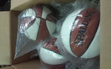 NBA Spalding Mini Basketballs