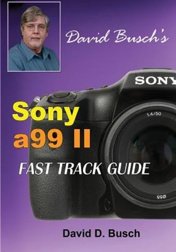 David busch sony - david, a99