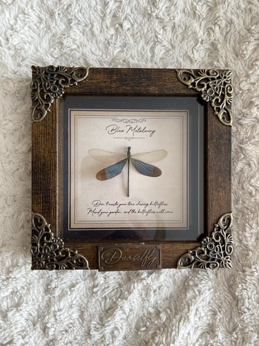 Handmade taxidermy damselfly - handmade,