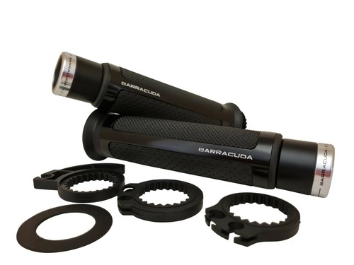 Kawasaki zrx1200 barracuda - zrx1200,
