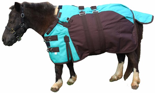 1200d miniature weanling - miniature,