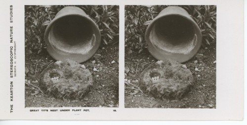 Antique kearton stereoscopic - antique,