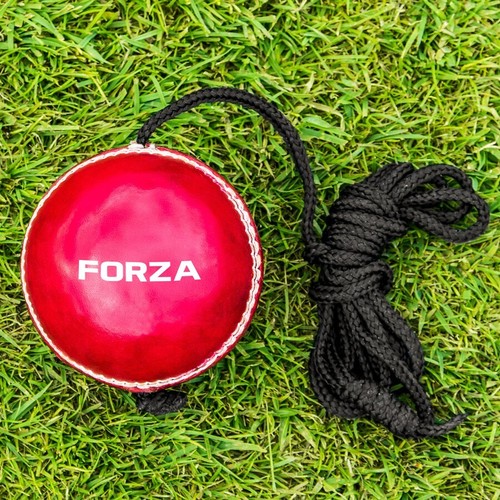 Forza string cricket balls 2 - string, [2