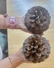 Large Natural Pine Cones x10 – Christmas Decoration / Rustic Winter Display