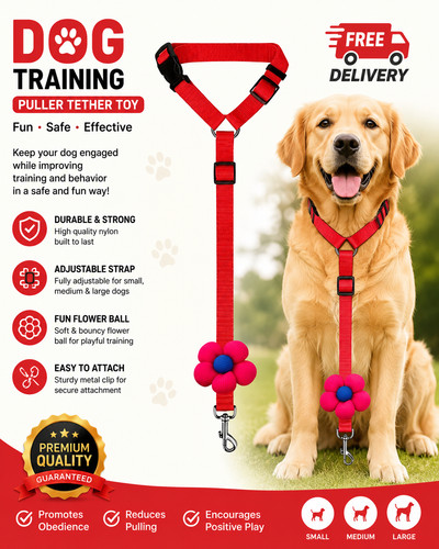 Pet dog seat belt - seat,