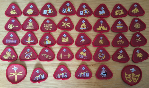 Cub scout proficiency - uk,