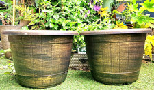 SET 2 - XL  BRONZE BARREL