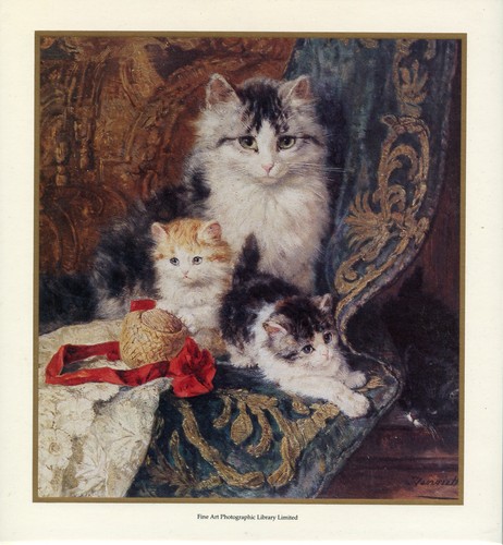 Cat feline art prints - feline,