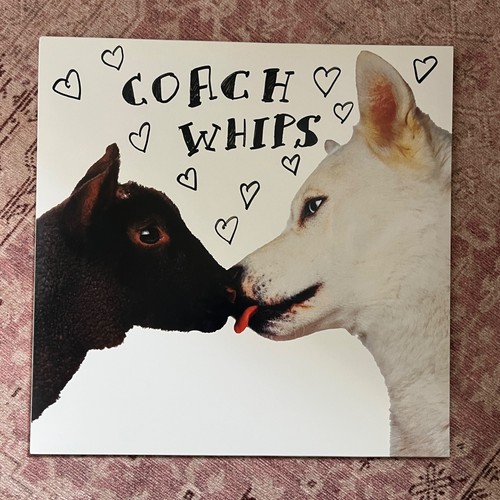 Coachwhips bangers vs - coachwhips,