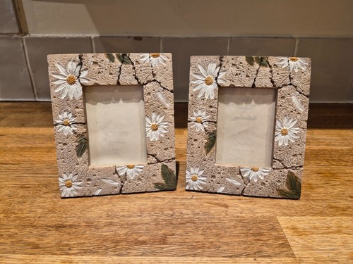 Pair rustic daisy photo - pair,