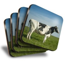 Set of 4 Square Coasters -