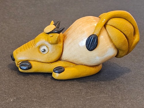 Genuine sea shell - sea,