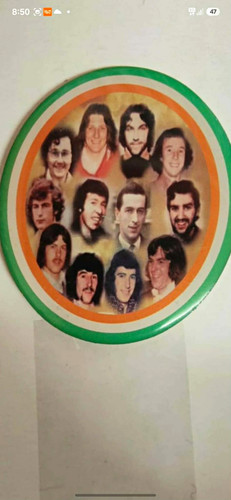 Irish republican badge - irish,