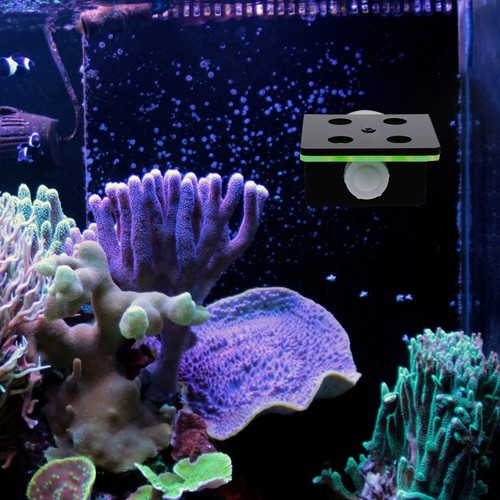 1pc aquarium frag - aquarium, rack