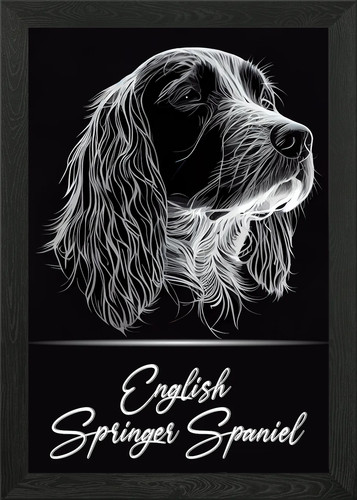 English springer spaniel - english,