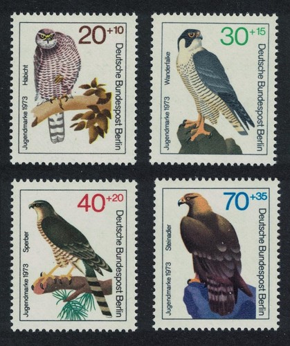 Falcon hawk goshawk eagle - hawk,