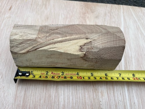 Spalted oak for - oak,