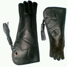Eagle and Falconry Glove 4