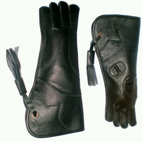 Eagle and falconry glove - eagle,