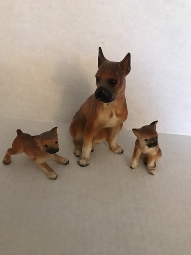 Lot vintage brown boxer - lot,