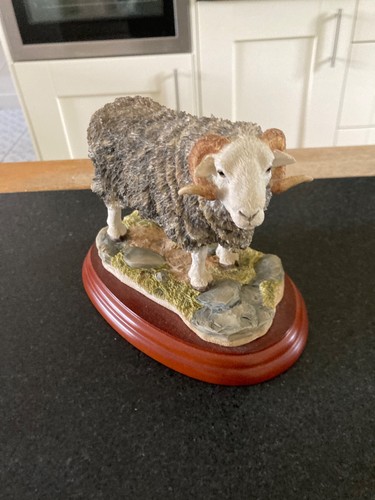 Border fine arts herdwick ram - fine,