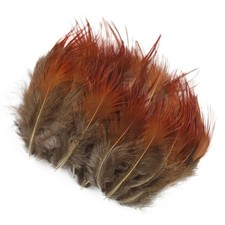 golden pheasant rump feathers
