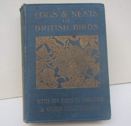 Old eggs and - old, 'eggs