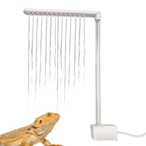 Bearded dragon bath - bearded,