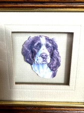 English Springer Spaniel 3D