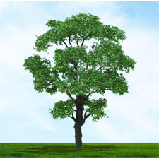 Tasma Products 03941 OO/HO