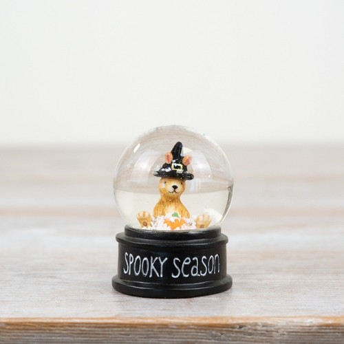 Jasper rabbit spooky - rabbit, season