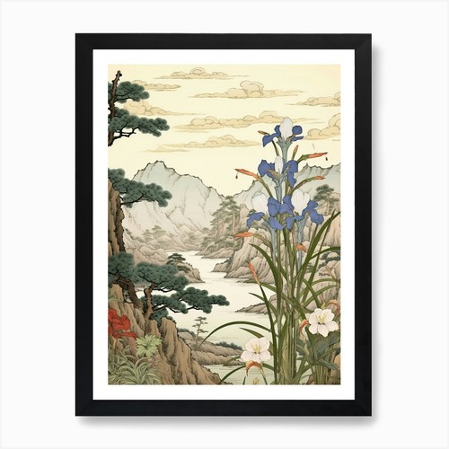Ayame japanese iris - japanese,