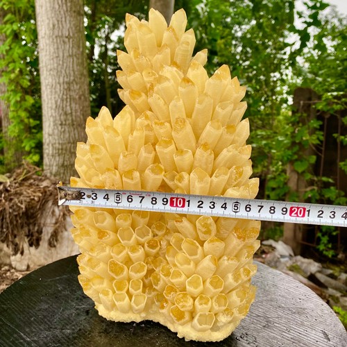 9lb new find yellow - 21.9lb,
