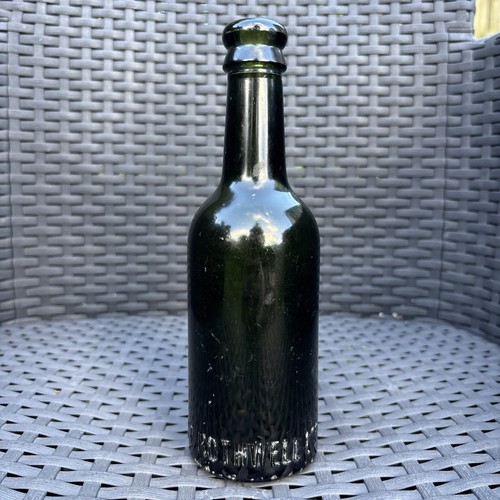 Antique beer bottle newton - antique,