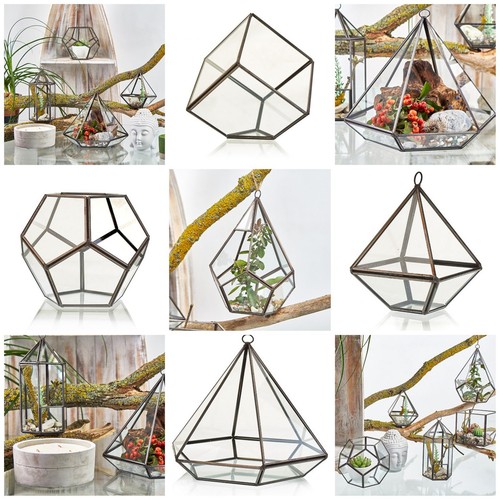 Glass geometric terrarium - glass,