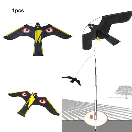 Flying hawk kite garden bird - flying,