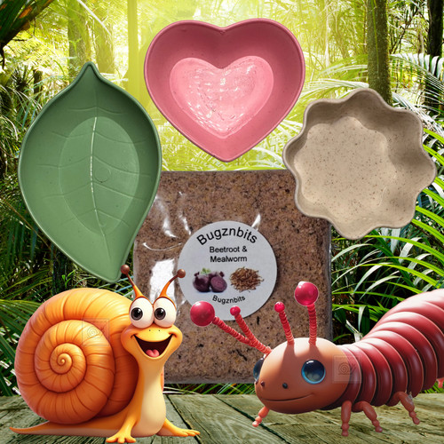 Giant african land snail - giant,