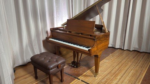 1979 baldwin artist series - baldwin,